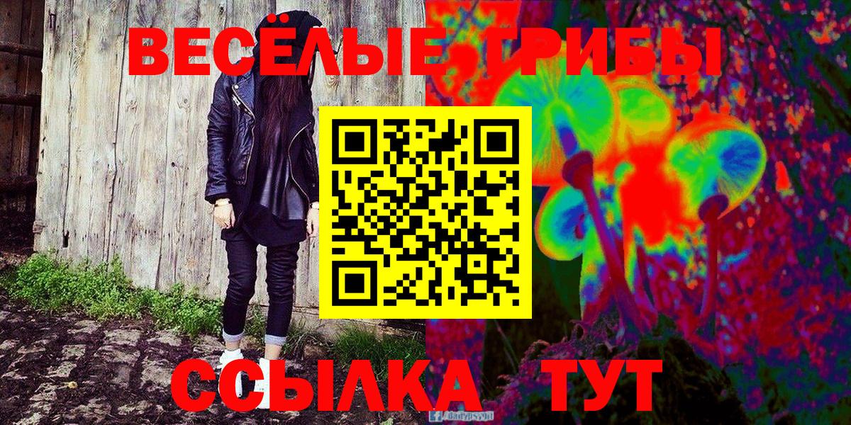 Канаш  Псилоцибиновые грибы Psilocybine cubensis  Вход с VPN  Псилоцибиновые грибы MAGIC MUSHROOMS 